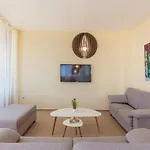 Villa Coral Luxury